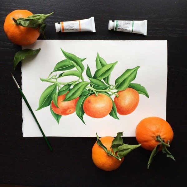 Скетчинг мандарины