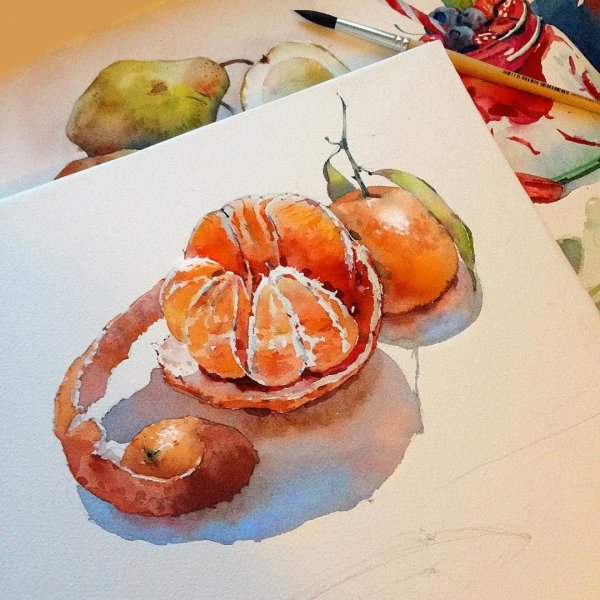 Акварельные скетчи фруктов
