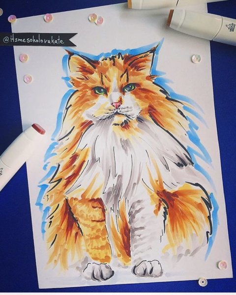 Кот маркерами для скетчинга