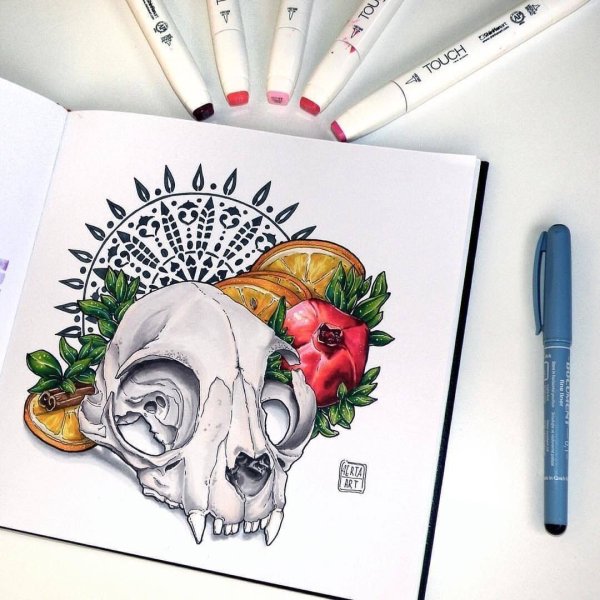 Рисунки маркерами