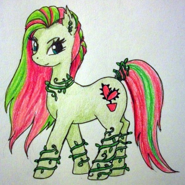 Пони рисунок цветной