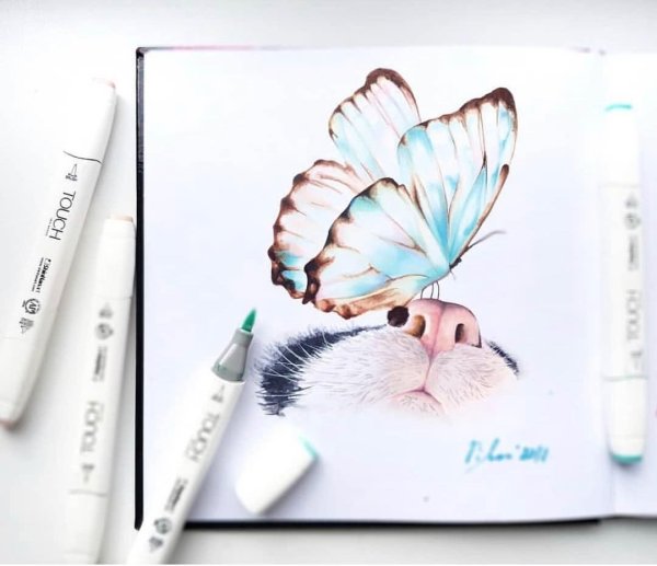 Рисунки маркерами для начинающих