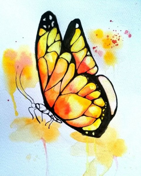 Акварельные краски бабочка