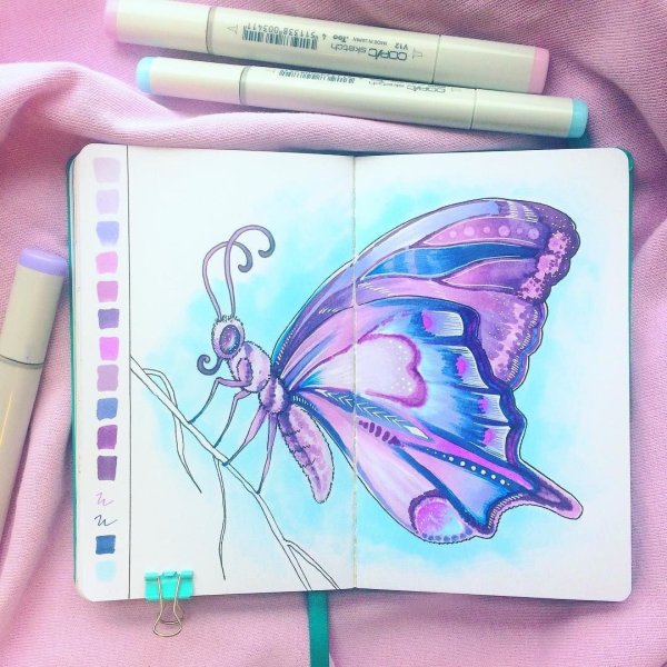 Бабочка скетч маркерами