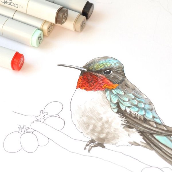 Скетчинг птицы маркерами