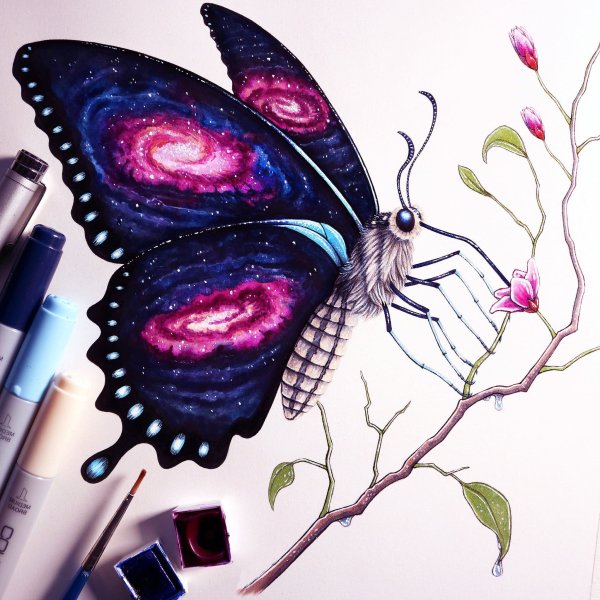 Бабочка цветными карандашами