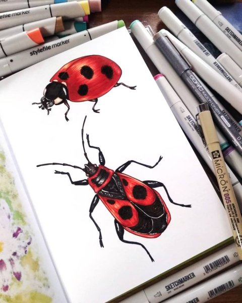 Насекомые маркерами