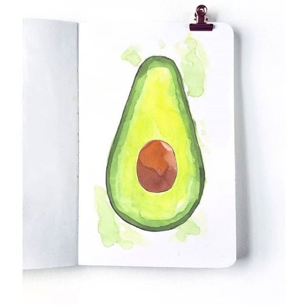 Скетчинг авокадо