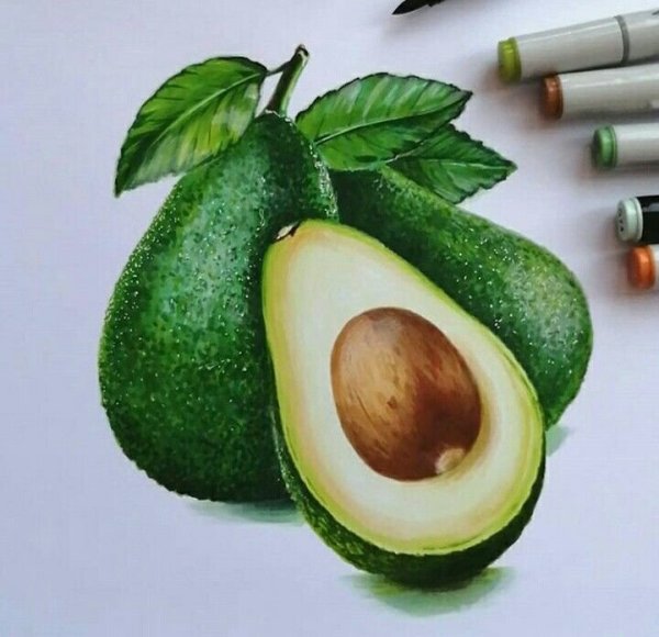 Скетчинг авокадо маркерами