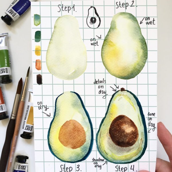 Авокадо скетч