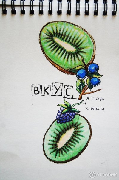 Скетчинг авокадо маркерами