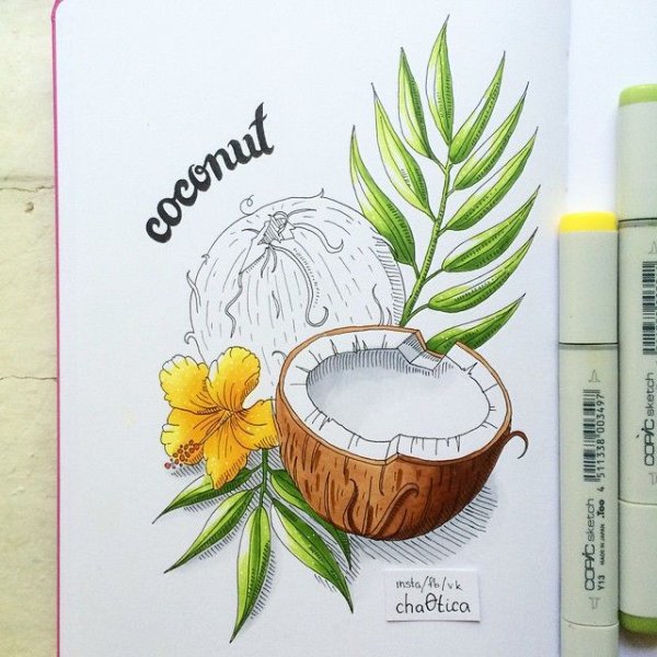 Рисунки маркерами для скетчинга для начинающих авокадо