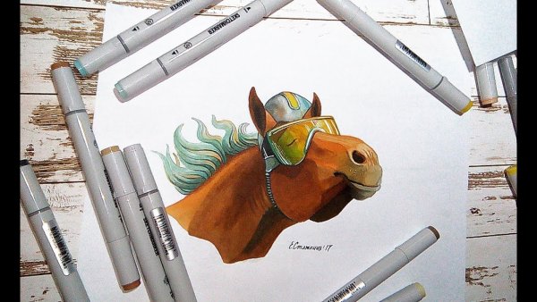 Лошадь маркерами