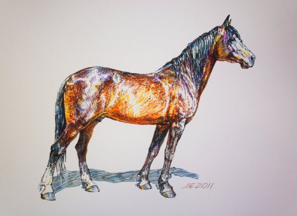 Скетчбук блокнот лошадь