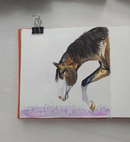 Лошадь маркерами