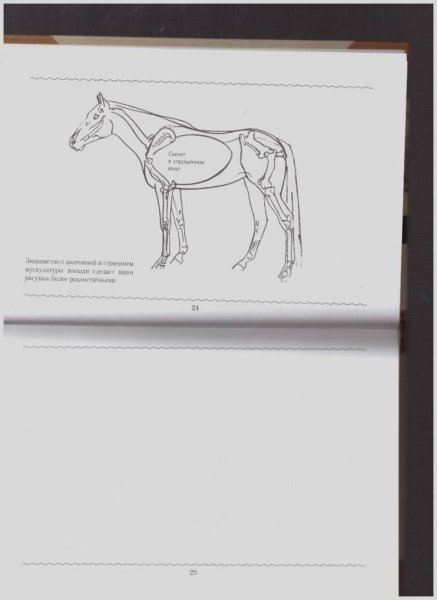 Парфило Настя художник