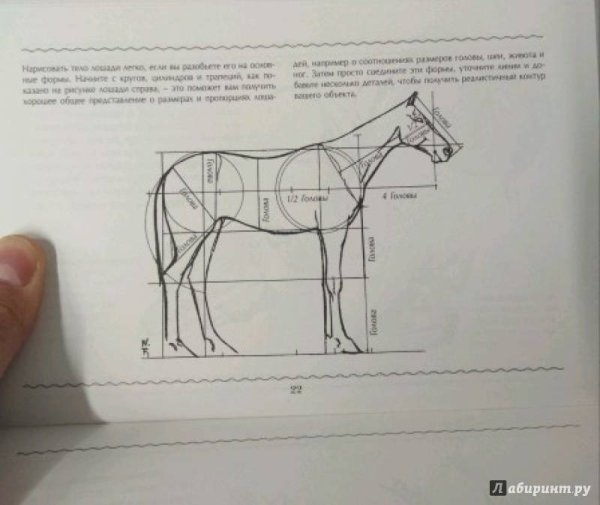 Лошадь маркерами для скетчинга