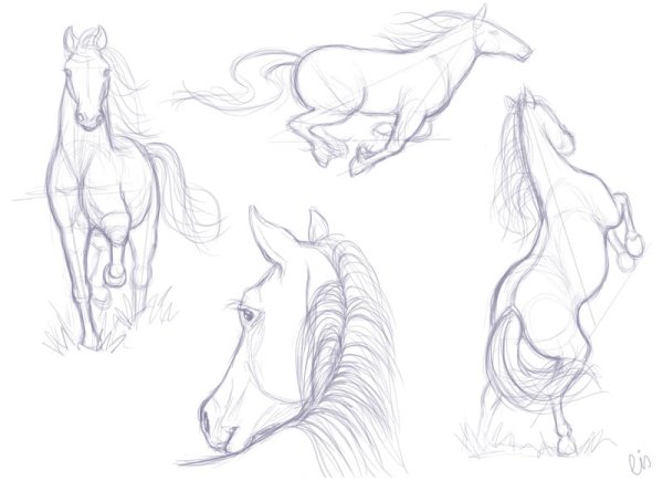 Рисуем лошадей. Альбом для скетчинга