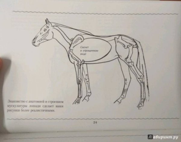 Лошадь фломастерами