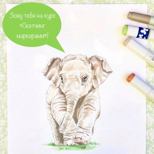 Конь для скетчбука