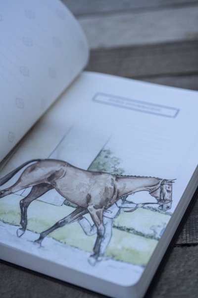 Лошадь скетч маркерами