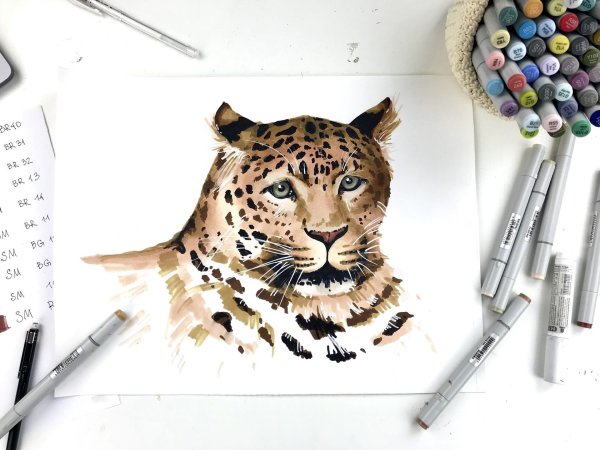 Рисунки для скетчинга животных