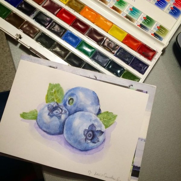 Черника рисунок маркерами