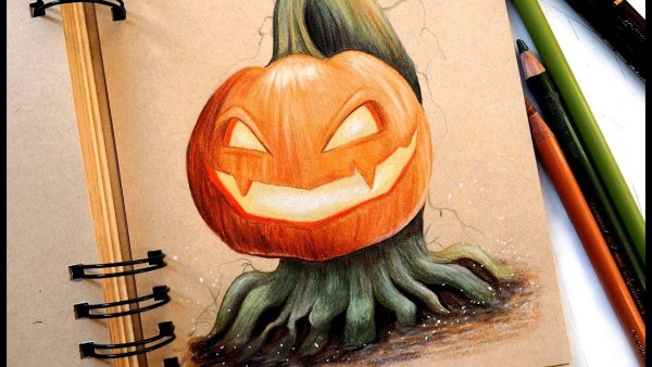 Тыква цветными карандашами