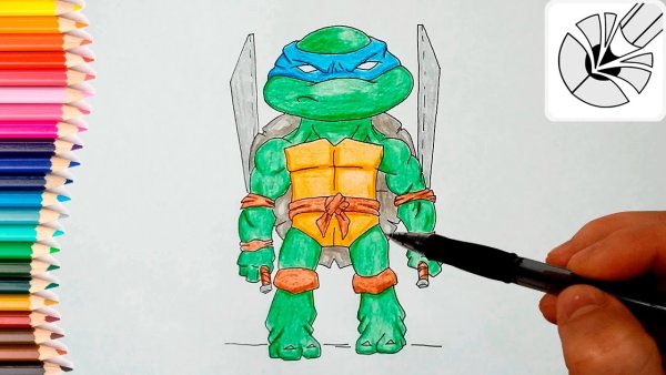 Черепашки ниндзя срисовать