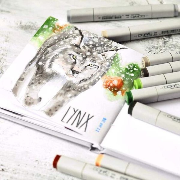 Иллюстрации маркерами Анна Расторгуева