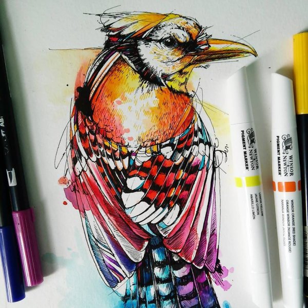 Рисуем маркерами Touch Raven