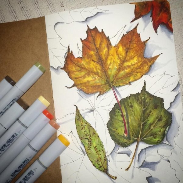 Скетчинг листик