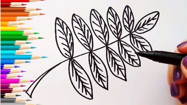 Осенние листья акварелью маркерами