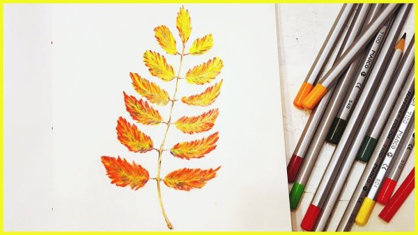 Лист клёна рисунок фломастером