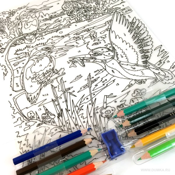 Рисование по номерам карандашами