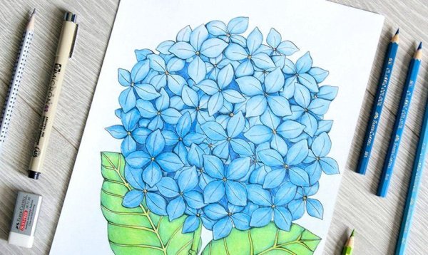 Классные рисунки фломастерами