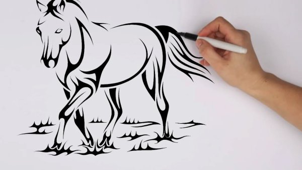 Рисунки чёрным фломастером