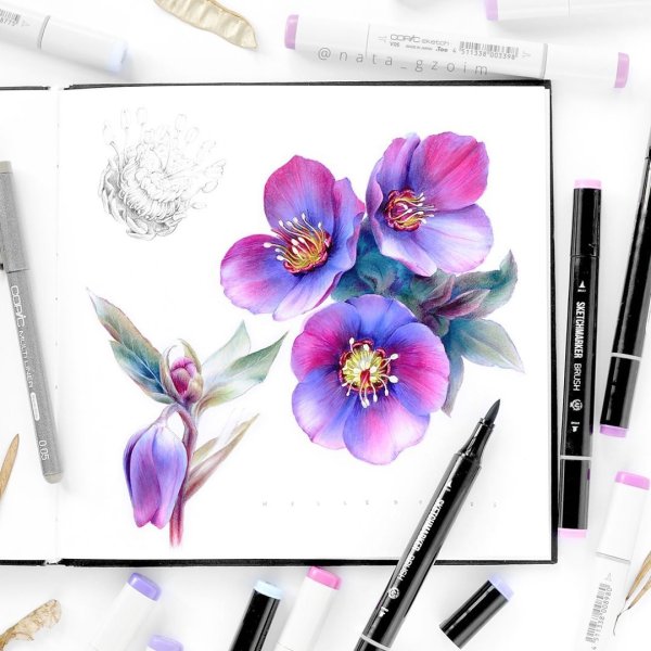 Цветы акварельными маркерами