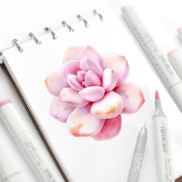 Цветы маркерами для скетчинга