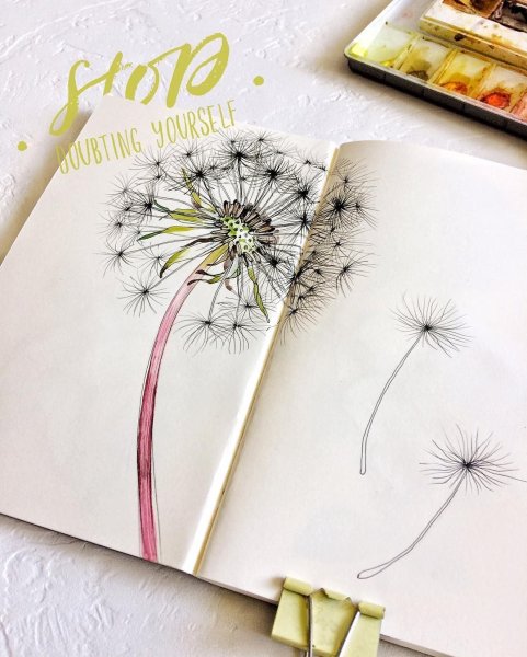 Одуванчик скетч