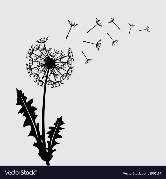 Одуванчик Графика