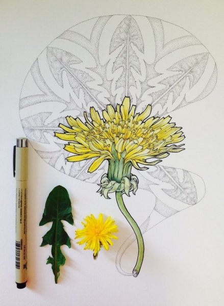 Одуванчик маркерами