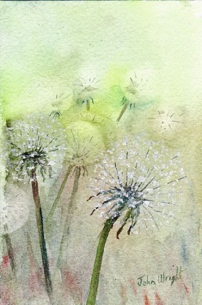 Одуванчик акварель просто