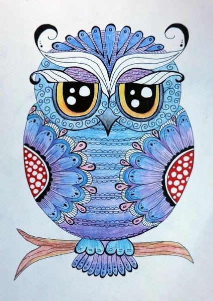 Сова цветная