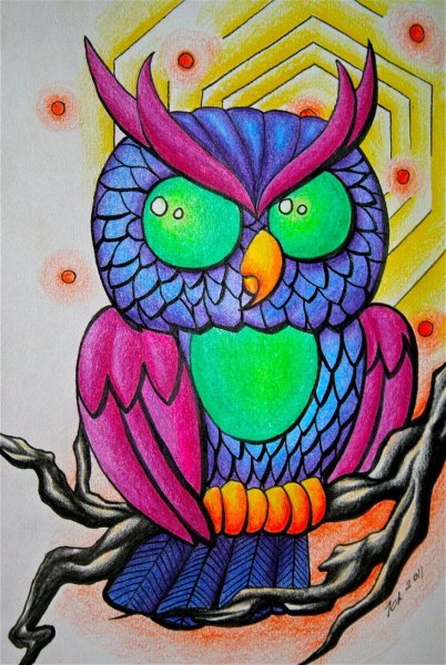 Сова цветная