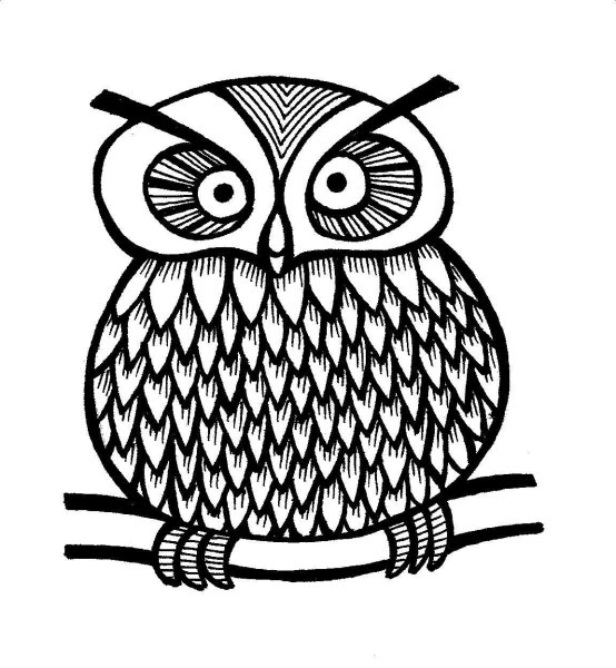 Черно белая раскраска Совы