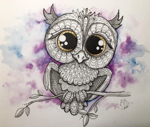 Сова рисунок для срисовки фломастерами