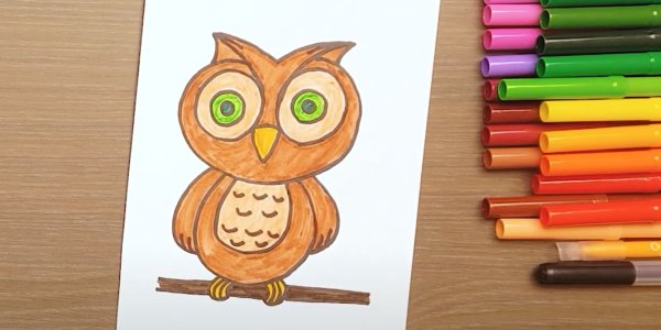 Профессиональный рисунок Совы