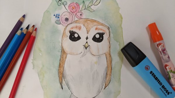 Сова скетч маркерами