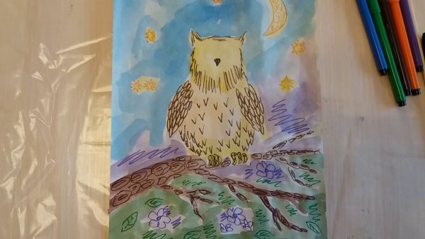Сова рисунок маркерами